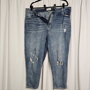 Eloquii Women's Ankle Jeans in Distressed Denim